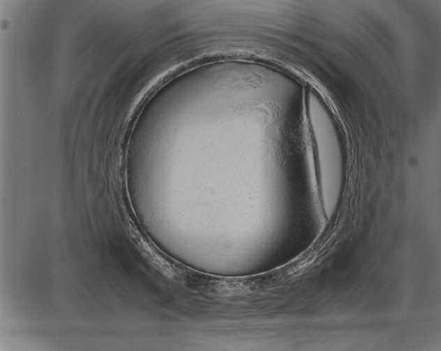 X0000086090799200704091325