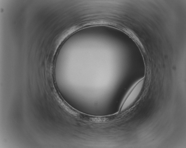 X0000086090805200704091325