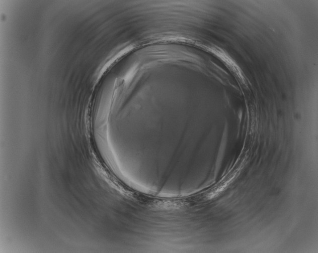 X0000086090806200704091325