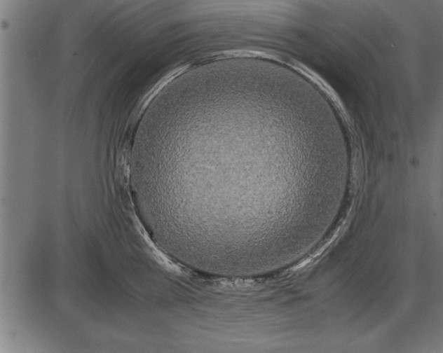 X0000086090809200704091325