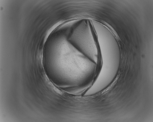 X0000086090812200704091325