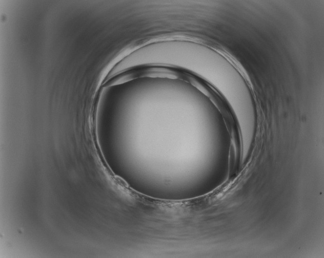 X0000086090813200704091325