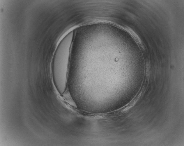 X0000086090814200704091325