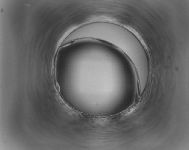 X0000086090815200704091325