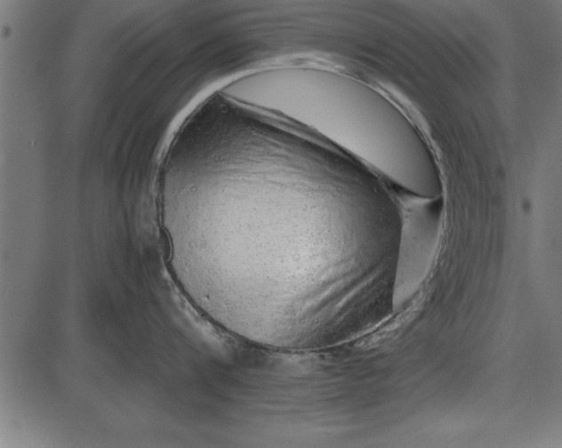 X0000086090816200704091325