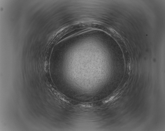 X0000086090822200704091324