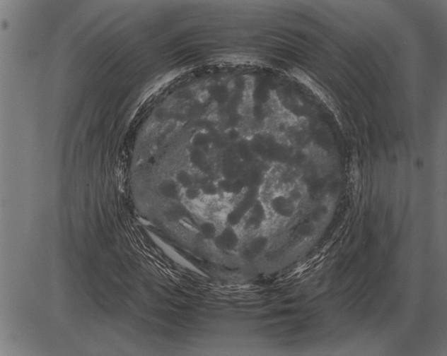 X0000086090823200704091324