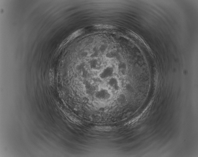 X0000086090825200704091324