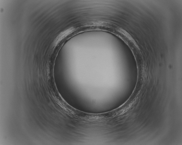 X0000086090826200704091324