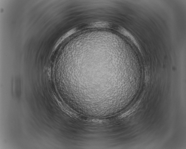 X0000086090827200704091324