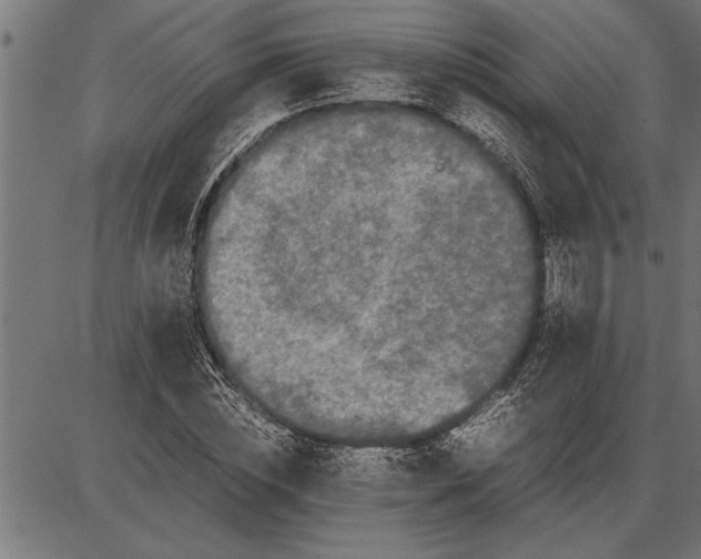 X0000086090828200704091324