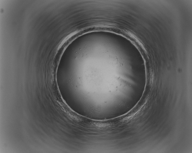 X0000086090829200704091324