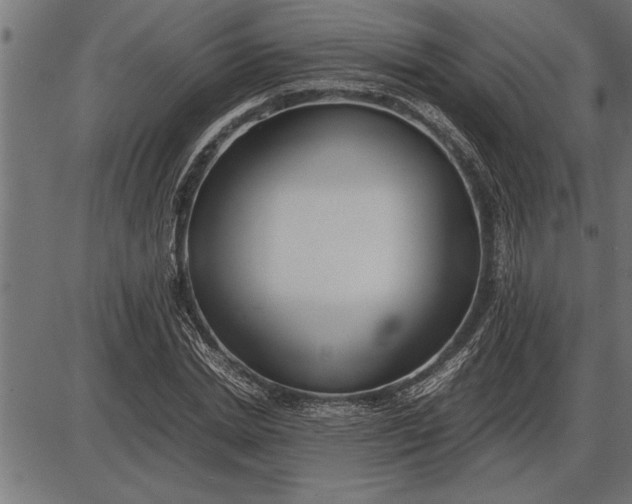 X0000086090830200704091324