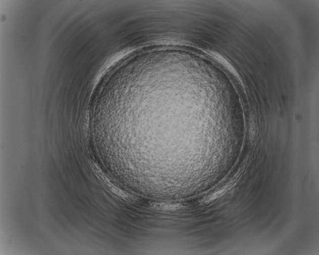 X0000086090831200704091324