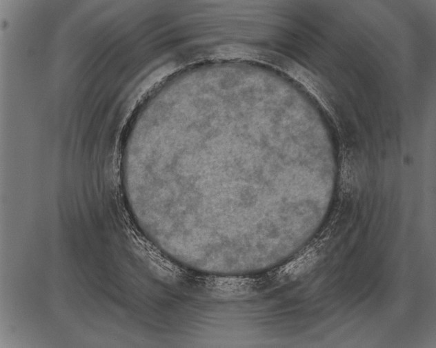 X0000086090832200704091324