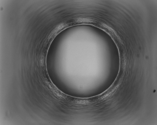 X0000086090833200704091324