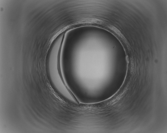 X0000086090834200704091324