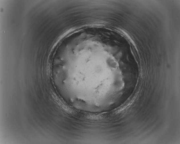 X0000086090835200704091324