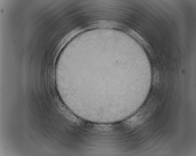 X0000086090836200704091324