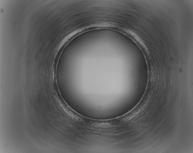 X0000086090837200704091324