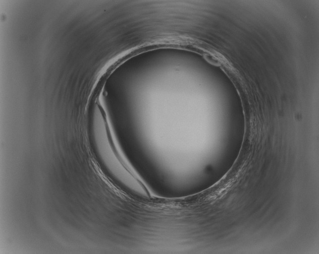 X0000086090838200704091324