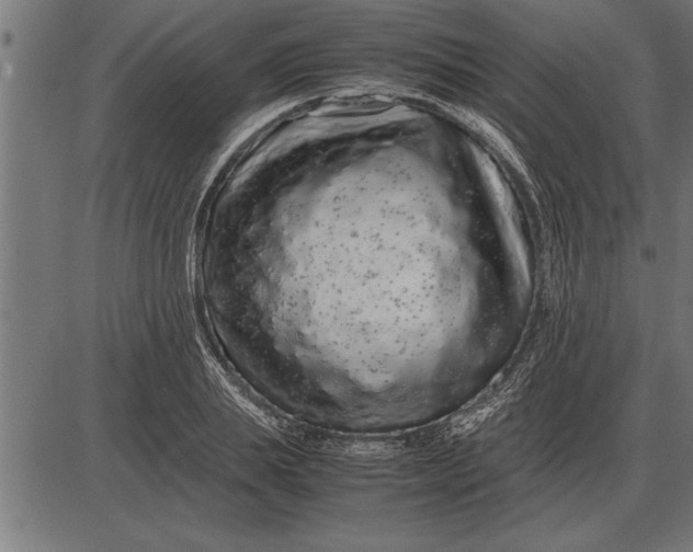 X0000086090839200704091324