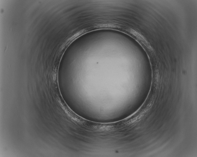 X0000086090841200704091324