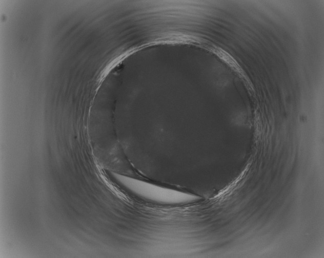 X0000086090842200704091325