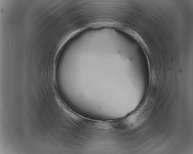 X0000086090844200704091325