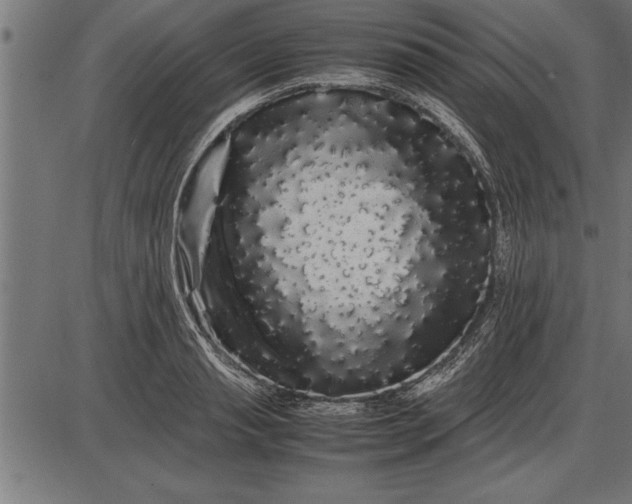 X0000086090845200704091325