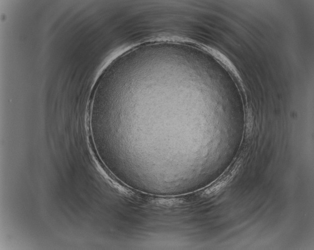 X0000086090847200704091325