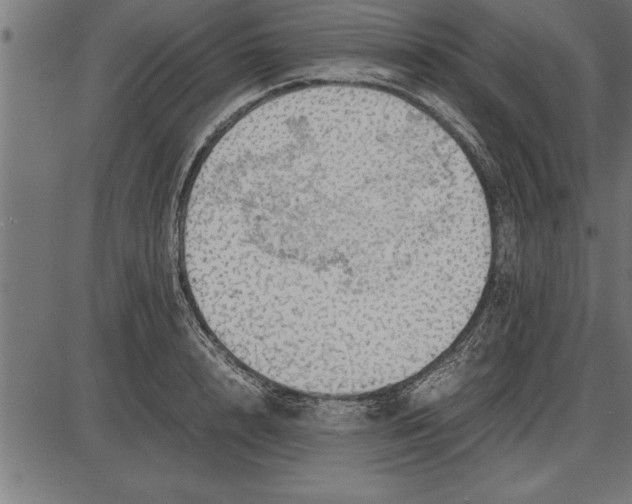 X0000086090848200704091325