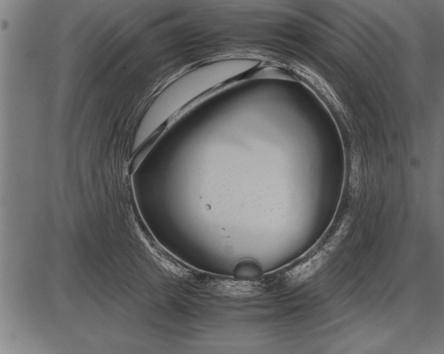 X0000086090849200704091325