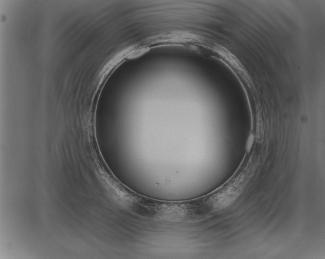 X0000086090850200704091325