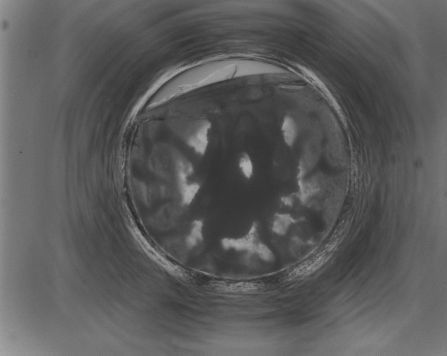 X0000086090851200704091325