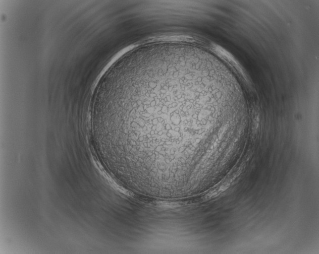 X0000086090852200704091325