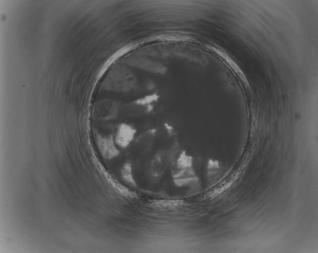 X0000086090853200704091325