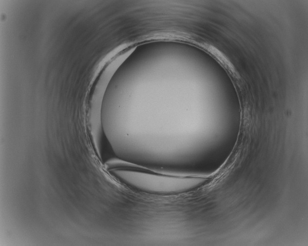 X0000086090854200704091325