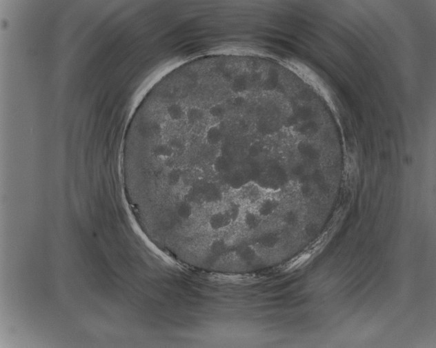 X0000086090855200704091325