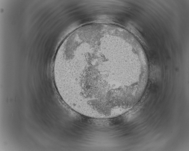 X0000086090856200704091325