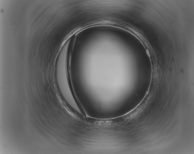 X0000086090858200704091325