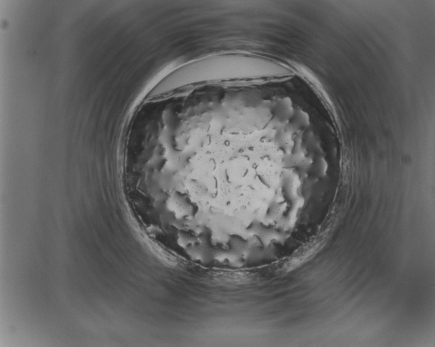 X0000086090859200704091325