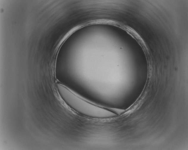 X0000086090860200704091325