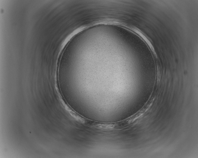 X0000086090861200704091325