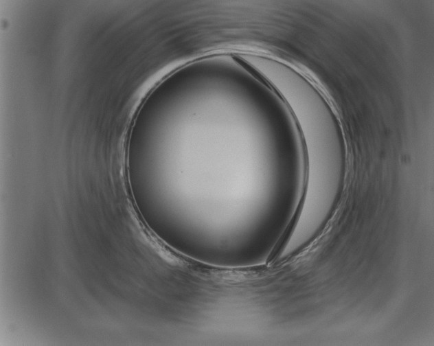 X0000086090862200704091325