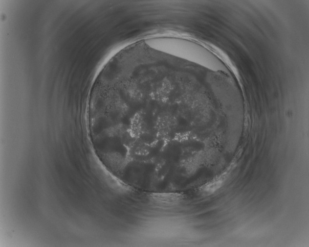 X0000086090863200704091325