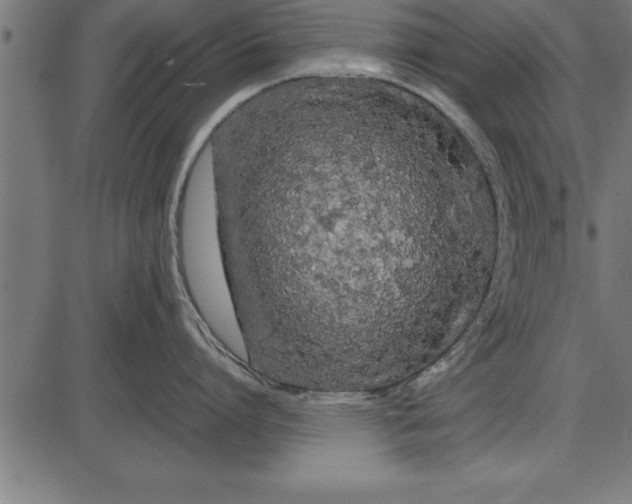 X0000086090864200704091325