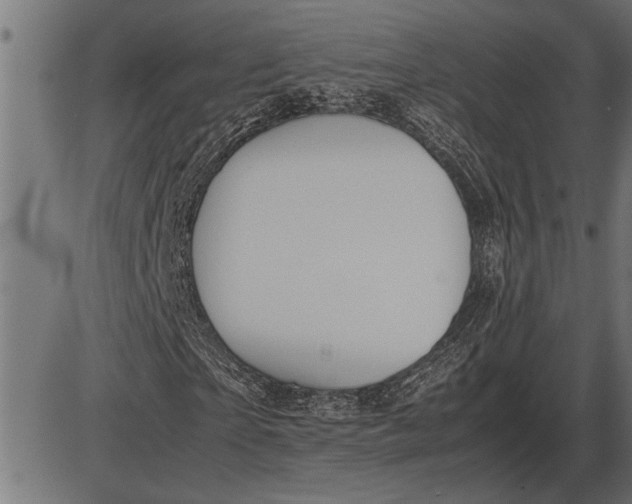 X0000086090865200704091324