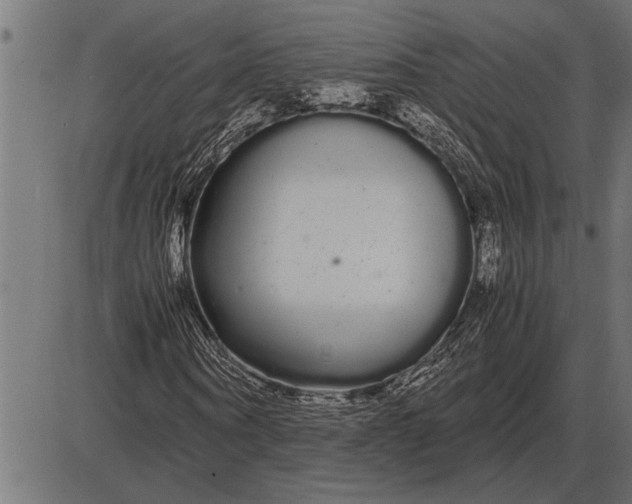 X0000086090866200704091324