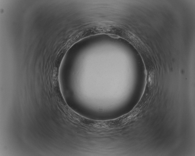 X0000086090867200704091324